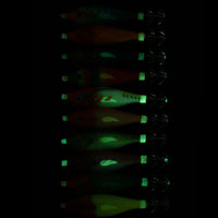 Boîte d'emballage nouveau Style veilleuse appâts de pêche appâts lumineux calmar crevettes leurre de pêche