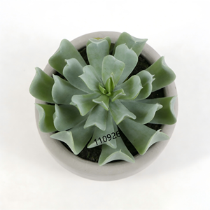 Mini Plantas Suculentas Artificiales <span class=keywords><strong>Echeveria</strong></span> en Maceta <span class=keywords><strong>de</strong></span> Cemento, Bajo Mantenimiento, Decoración Minimalista para Graduación, Pascua y Hogar - Product Image 3