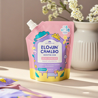 Conception de logo imprimé personnalisé Finition mate Emballage de liquide de détergent à lessive Sac en mylar debout avec bec étanche à l'humidité et au soleil