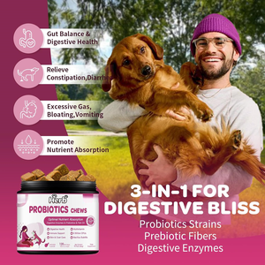 Golosinas Masticables para el Cuidado de Mascotas, 60 Unidades, Marca Blanca, Salud Digestiva Intestinal, Suplementos Nutricionales Prebióticos y Probióticos para Perros - Product Image 2