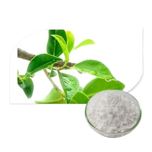 Extrait de thé vert de haute qualité épigallocatéchine gallate 50% 90% 95% 98% poudre EGCG - Product Image 1