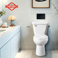 WC à poser en céramique blanc 300 mm avec siphon, chasse latérale, siphon en S, deux pièces