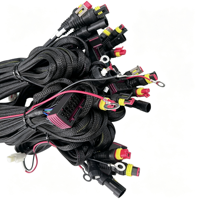Harness Kabel Glow Plug, Harness Kabel Kipas Pendingin, Harness Kabel AC Mobil Truk, Perakitan Kabel, Langsung dari Pabrik, Kualitas Tinggi OEM