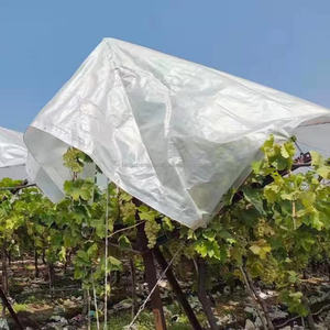 ใหม่เต็นท์ปลูกต้นองุ่นแบบใสผ้า HDPE ทอรูปเชอร์รี่ - Product Image 1