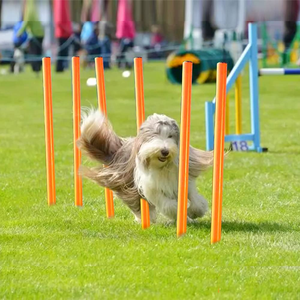 Kingtale PVC PC Outdoor Pet Training Equipment Custom Weight <strong>Dog</strong> <strong>Agility</strong> Training Including Tunnel <strong>Jump</strong> High <strong>Jumps</strong> for Backyard - Product Image 5