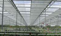 Serre agricole avec cadre de serre pour roses, 4 pièces, serre conservateur chinois, vente en gros