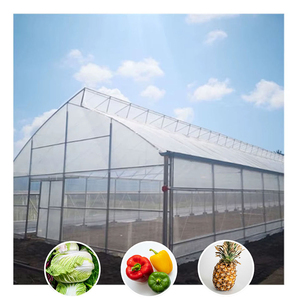 Invernaderos Agrícolas Dentados de Bajo Costo y Fácil Montaje con Estructura de Acero y Sistema de Ventilación para Cultivo de Plantas - Product Image 1