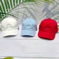Gorra de Béisbol de 6 Paneles, Bordada a Mano, con Logotipo Personalizado, Estampado Floral Deportivo, Neutral, de Algodón, Sin Estructura, Formal, Comercial