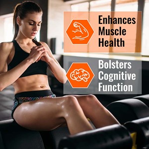 High Quality Iron Plus Powder Strengthen Immune Defense and Bolsters Cognitive Function with Dietary <b>Supplement</b> - Product Image 4