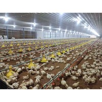 Équipement d'élevage au sol pour élevage avicole entièrement automatique moderne, mangeoire à poulet, pompe à moteur, composants de noyau en plastique
