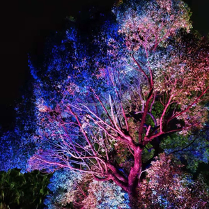 Éclairage de scène haute luminosité LED 120 pièces 48 pièces RGBW 4 en 1, projecteur LED PAR à couleurs mélangées pour spectacle et événement sur scène - Product Image 1