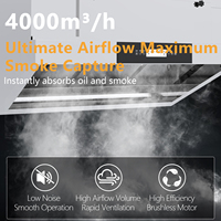 Hotte aspirante sans conduit pour cuisine, hôtel, usage commercial, en acier inoxydable avec filtre à graisse intégré, hotte sans conduit