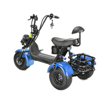 Scooter à trois roues S1 Tricycles électriques électriques ouverts à 3 roues avec de gros pneus Scooters Citycoco pour handicapés de vente chaude