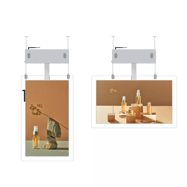55 Inch Oled/led Hanging Double Sided Digital Signage Indoor Advertising Lcd Screen Lcd Window Display