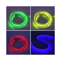 Projet d'ingénierie de bâtiment décoration extérieure étanche Flexible IP65 DC220V 100 mètres de haut Lumen SMD 5050 Les bandes lumineuses