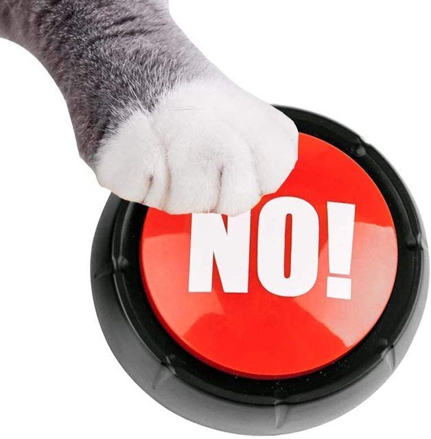 Custom Message Color Durable Programmable Abs Plastic Recordable Music Voice Sound Talking Buttons for Dog Baby