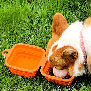 Hot Outdoor <b>Portable</b> Eco-friendly Silicone Pet <b>Bowl</b> Foldable Double Layer <b>Dog</b> <b>Bowl</b> Square Cat and <b>Dog</b> Drinking Feeding <b>Bowl</b> - Product Image 2
