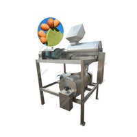 Machine d'extraction d'extrait de graines de figue de Barbarie dans la ligne de production d'huile de figue de Barbarie / Extracteur de graines de cactus