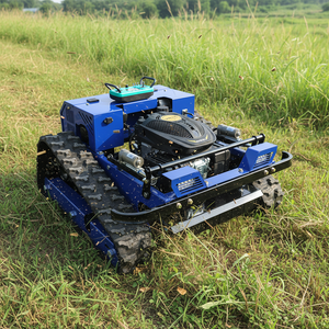 Cortadora de Césped Mini QL-600Y con Motor de Gasolina para Uso Doméstico - Product Image 2