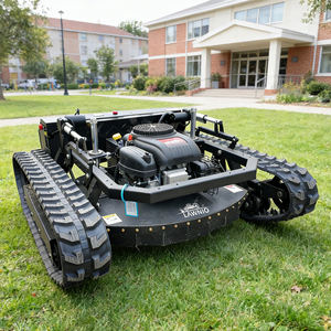 آلة تشذيب العشب بالبنزين رباعية الأشواط من لونيو، عرض قطع 800 مم، جزازة عشب للاستخدام في شركات تنسيق الحدائق، شحن مجاني - Product Image 1