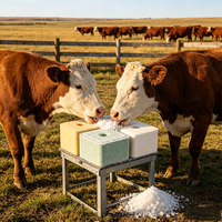 Bloc de sel minéral dur pour animaux, fourni par un fournisseur chinois, pour l'alimentation du bétail dans les ranchs