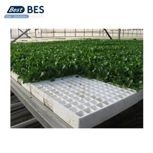 Máquina de moldeo de forma automática superventas BES <span class=keywords><strong>para</strong></span> bandeja de siembra de poliestireno EPS - Product Image 4