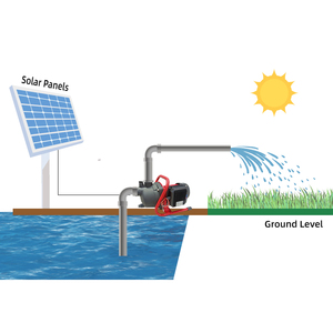 HANDURO Agriculture Petite <span class=keywords><strong>pompe</strong></span> à eau de jardin à énergie solaire 100W Dc avec contrôleur intégré - Product Image 3