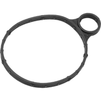 Suku Cadang Mobil Pompa Vakum Seal Gasket LR039593 untuk Land Rover Freelander 2 Discovery Sport Range Rover Sport Evoque