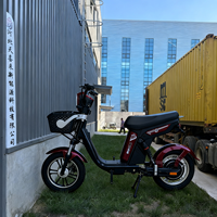Vélo électrique urbain à grande vitesse pour les trajets quotidiens, scooter électrique élégant avec panier avant et siège large intégré