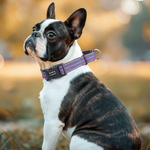 Reflektieren des verstellbares Haustier halsband mit gravierter ID-Platte Personal isiertes Logo Nylon-Hunde halsband Basic Durable D Ring <span class=keywords><strong>Cat</strong></span> Neck Collar - Product Image 6