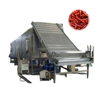 Gloednieuwe continue mesh-banddroogmachine voor het drogen van fruit en groenten