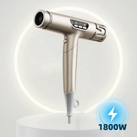 Sèche-cheveux professionnel ionique puissant 1800W pliable à air froid et chaud, séchage rapide, infrarouge électronique, avec buse diffuseur