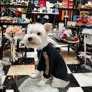 खुशी लक्जरी फैशन पालतू कुत्ते कपड़े क्लासिक शैली ग्रीष्मकालीन पोलो शर्ट वसंत ऋतु के मौसम के लिए बड़े कुत्तों और बिल्लियों के लिए - Product Image 2