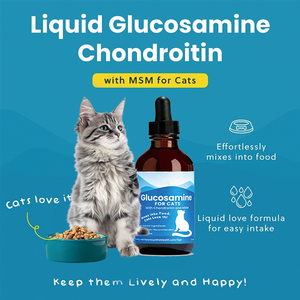 Formule liquide <span class=keywords><strong>pour</strong></span> chats OEM en stock, glucosamine <span class=keywords><strong>pour</strong></span> chats 59 ml avec chondroïtine, MSM, taurine, se mélange à la nourriture, entièrement naturel - Product Image 4