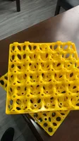 Plateau à Œufs en Plastique Recyclable pour 30 Œufs, pour Ferme Avicole et Poulailler – Caisse à Œufs en Plastique