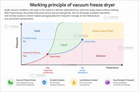 Industriële vacuümvriesdroger/lyofilisator van 50m² voor fruit, zeevruchten, dierenvoer, kruiden, grote capaciteit voedseldroogmachine