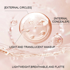 Paleta de Corrector Personalizada OEM, Maquillaje de Marca Privada al por Mayor, Resistente al Agua, Mate, Control de Grasa, para Todos los Tonos de Piel - Product Image 2