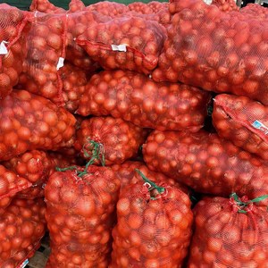 Sac en filet circulaire CE pour l'emballage des légumes 50x80, sac en filet pour légumes, pommes <span class=keywords><strong>de</strong></span> terre, oignons, <span class=keywords><strong>ail</strong></span>, fruits, oranges, bois <span class=keywords><strong>de</strong></span> chauffage - Product Image 6