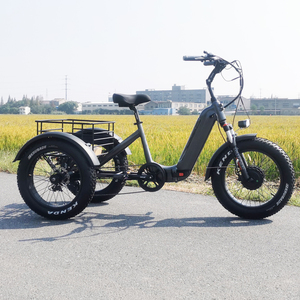 Triciclo Eléctrico Plegable de 48V 500W, E-Trike con Neumáticos Gruesos de 20*4, Batería de Litio <span class=keywords><strong>Samsung</strong></span> de 48V 10.4Ah, Shimano 9/7 Velocidades para Adultos - Product Image 4