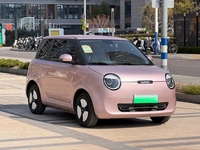 Véhicule Électrique à Charge Rapide Qihang Changan Lumin 2024 pour les Trajets Urbains et les Déplacements Quotidiens – Offre Spéciale
