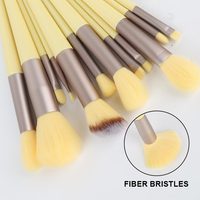 Gloway Ensemble de 13 pinceaux de maquillage complets, ensemble de pinceaux de beauté cosmétique de voyage, fond de teint, fard à joues, fard à paupières, rouge à lèvres, kit de pinceaux de maquillage avec sac