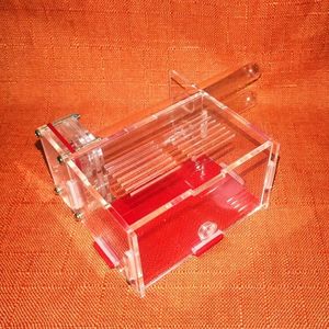 รังม<span class=keywords><strong>ด</strong></span> DIY ทำจากยิปซั่มและหลอ<span class=keywords><strong>ด</strong></span>ทดลองไม้ไผ่ พร้อมพื้นที่ให้อาหาร  บ้าน<span class=keywords><strong>มด</strong></span>  รังม<span class=keywords><strong>ด</strong></span>ราชินี  ปราสาท<span class=keywords><strong>มด</strong></span> - Product Image 2