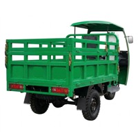 Meilleure Vente Tricycle à Essence Robuste 200-250cc, Moto Cargo à Essence avec Auvent, Vitesse 50-70Km/h