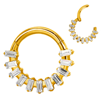 GZN Body Piercing Jewelry Anillo de aro de segmento con bisagras de titanio con Baguette frontal CZ Fan Edge Nariz Anillo de oreja Pendiente de hélice