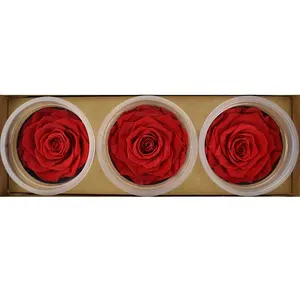 Best Quality 7-8 cm All Colors Preserved Forever Rose Head For Making DIY Flowers Boxes