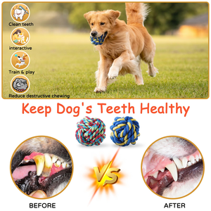 Jouet pour chien en corde de coton écologique de haute qualité, interactif et d'entraînement, pour la mastication, pour l'intérieur et l'extérieur - Product Image 2