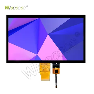 Wisecoco HMI Industrial Equipment 1024*600 RGB 40 Pins 10.1 Inch HD IPS Capacitive Touch LCD Module
