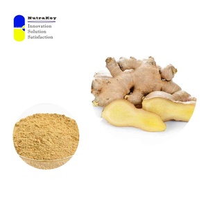 Extracto de raíz de jengibre Premium 20% gingeroles | Soporte digestivo natural y antiinflamatorio | Polvo orgánico Zingiber Officinale - Product Image 4