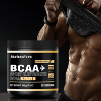 Poudre d'électrolytes BCAA à rapport 4:1:1, 30 portions, ingrédients naturels de haute qualité, vente directe, produit phare pour l'exportation transfrontalière