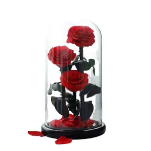 Immortal flower glass cover little prince red rose proposal commemorative holiday to girlfriend birthday high-quality gift